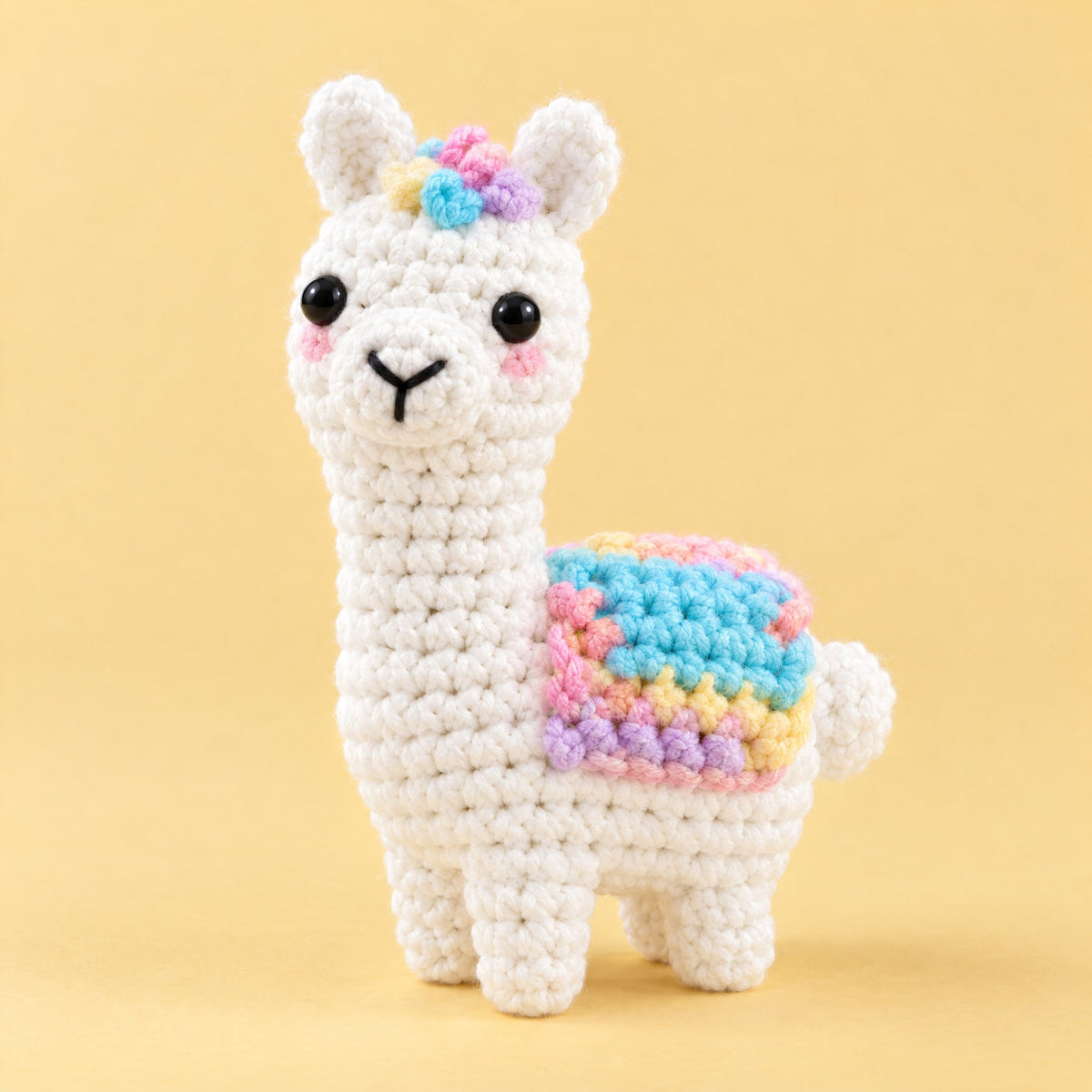 Le lama, de face