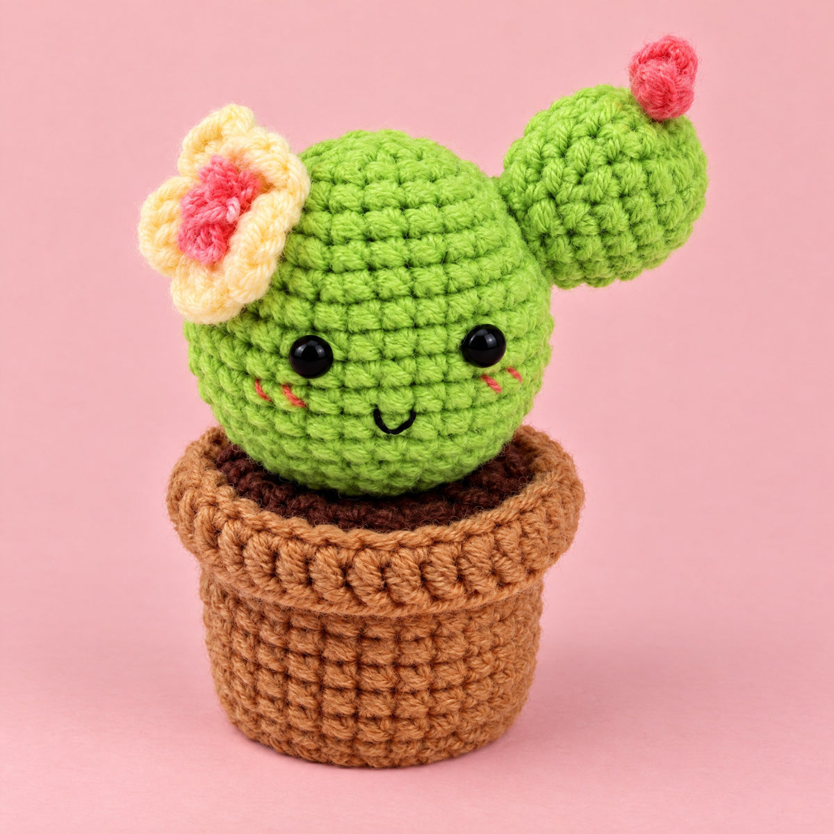 Le cactus, de face