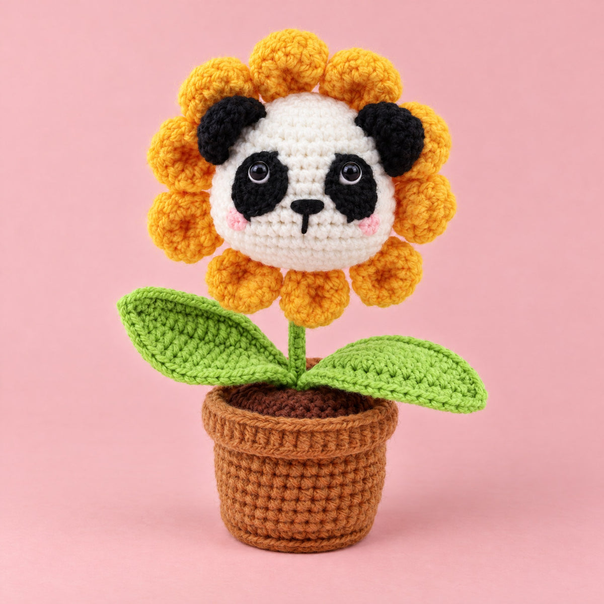 Le panda tournesol, de face
